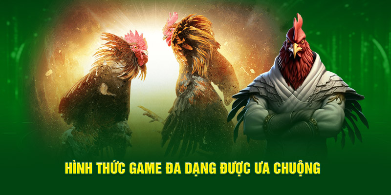 Trải nghiệm các hình thức đá gà OK356 đặc sắc