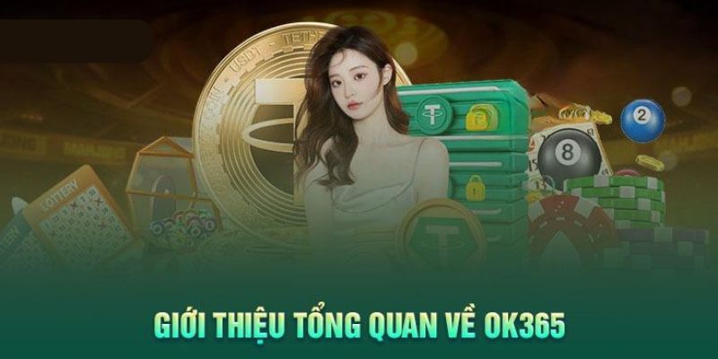 Giới thiệu tổng quan về ok365