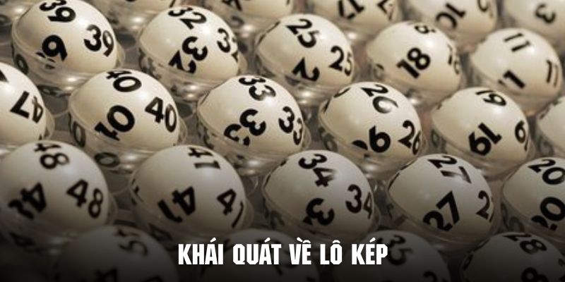 Khái quát về loại hình lô kép